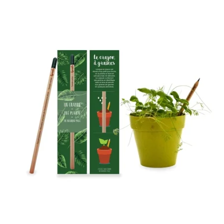 Crayon à planter personnalisé en bois certifié - Sprout