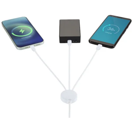 Câble de charge publicitaire 5-en-1 Pure avec additif antibactérien Câble de charge publicitaire 5-en-1 Pure avec additif antibactérien