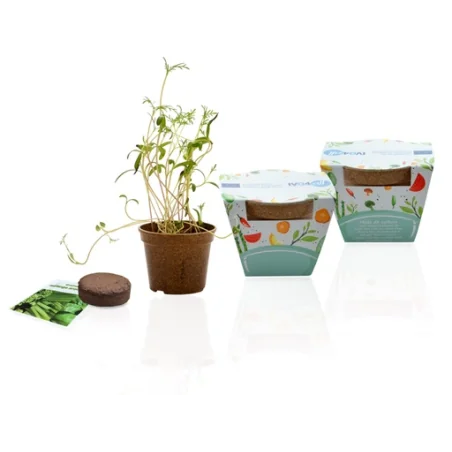 Kit jardin personnalisable Ecolo Biodégradable