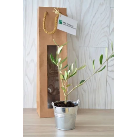 Plant d'arbre personnalisé en sac Kraft Prestige - Made in France
