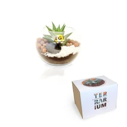 Mini Plante Dépolluante - Cadeau Publicitaire Écologique - Cadoétik
