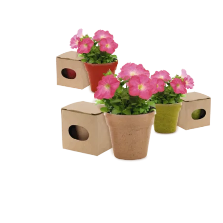 Pot de fleurs biodégradable avec graine de Pétunia Advert