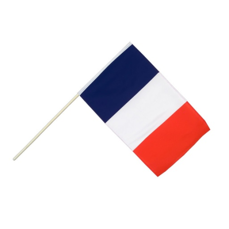 Drapeau France personnalisable 45 x 30 cm hampe en plastique