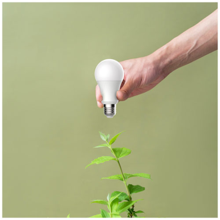 Ampoule personnalisable avec contrôle de la luminosité Wi-Fi BW10 Prixton Ampoule personnalisable avec contrôle de la luminosité Wi-Fi BW10 Prixton