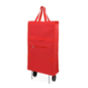Caddie de course personnalisable Fasty Caddie de course personnalisable Fasty