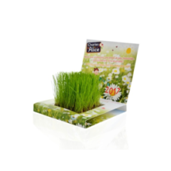 Carte personnalisée Jardin...