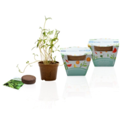 Kit jardin personnalisable...