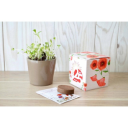 Le cube de plantation...