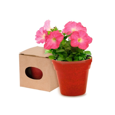 Pot de fleurs biodégradable avec graine de Pétunia Advert