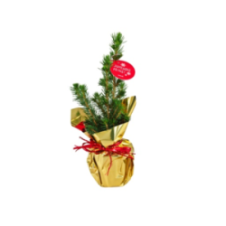 Sapin de Noël publicitaire...