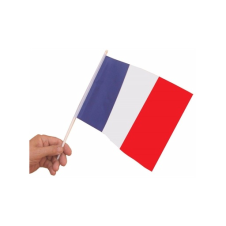 Set de 10 drapeaux France 20 x 30 cm Set de 10 drapeaux France 20 x 30 cm