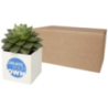 Pot personnalisé en aluminium avec cactus - Hey Pots Pot personnalisé en aluminium avec cactus - Hey Pots