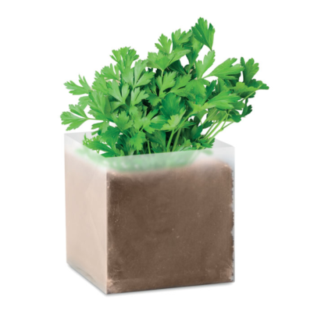 Kit de plantation personnalisé avec substrat et graines de persil Kit de plantation personnalisé avec substrat et graines de persil