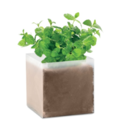 Kit de plantation...