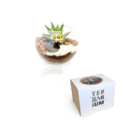 Terrarium personnalisable...