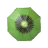 Parasol publicitaire fruité en nylon 150cm Chaptan Parasol publicitaire fruité en nylon 150cm Chaptan