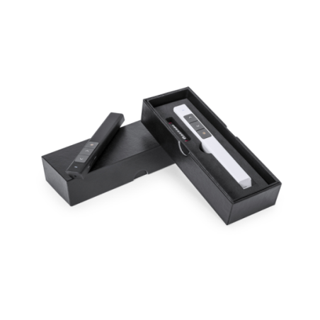 Pointeur Laser personnalisable Haslam