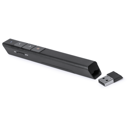 Pointeur Laser personnalisable Haslam