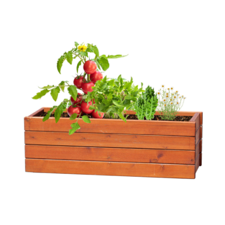 Set de 4 graines à planter personnalisable Tomarux