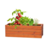 Set de 4 graines à planter personnalisable Tomarux