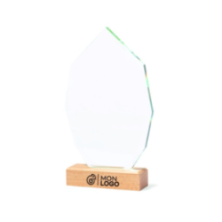 Trophée personnalisable en...
