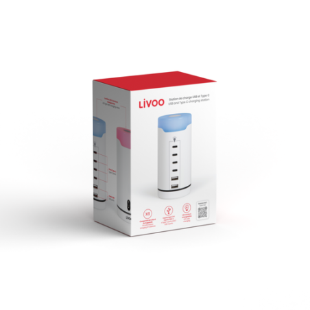 Station de charge personnalisable USB et Type C jusqu'à 6 appareils avec voyant lumineux Station de charge personnalisable USB et Type C jusqu'à 6 appareils avec voyant lumineux