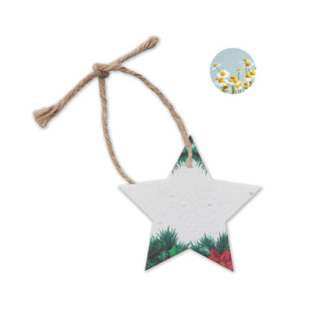 Suspension de noël personnalisée en papier à graine en forme d'étoile Suspension de noël personnalisée en papier à graine en forme d'étoile