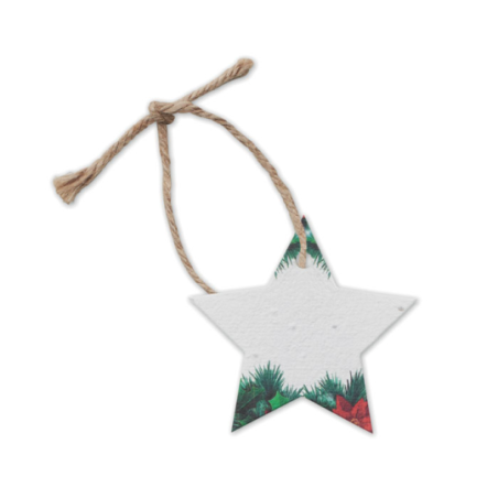Suspension de noël personnalisée en papier à graine en forme d'étoile Suspension de noël personnalisée en papier à graine en forme d'étoile