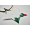 Suspension de noël personnalisée en papier à graine en forme d'étoile Suspension de noël personnalisée en papier à graine en forme d'étoile