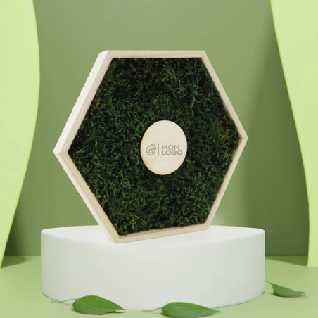 Cadre hexagonal personnalisable en bois avec mousse naturel stabilisé Cadre hexagonal personnalisable en bois avec mousse naturel stabilisé