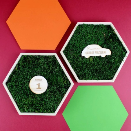 Cadre hexagonal personnalisable en bois avec mousse naturel stabilisé Cadre hexagonal personnalisable en bois avec mousse naturel stabilisé