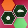 Cadre hexagonal personnalisable en bois avec mousse naturel stabilisé Cadre hexagonal personnalisable en bois avec mousse naturel stabilisé