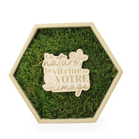 Cadre hexagonal personnalisable en bois avec mousse naturel stabilisé Cadre hexagonal personnalisable en bois avec mousse naturel stabilisé
