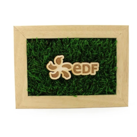 Cadre rectangle personnalisable en bois avec mousse naturel stabilisé Cadre rectangle personnalisable en bois avec mousse naturel stabilisé