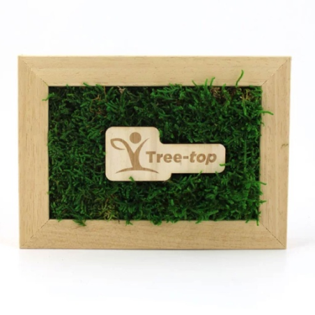 Cadre rectangle personnalisable en bois avec mousse naturel stabilisé Cadre rectangle personnalisable en bois avec mousse naturel stabilisé