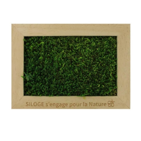 Cadre rectangle personnalisable en bois avec mousse naturel stabilisé Cadre rectangle personnalisable en bois avec mousse naturel stabilisé