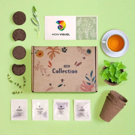 Box personnalisable collection tisane