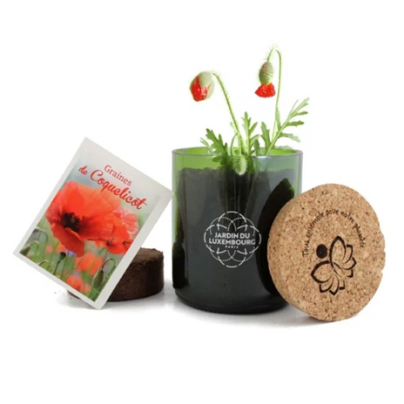 Kit personnalisable bouteille recyclée Kit personnalisable bouteille recyclée