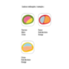 Sachet de bonbon personnalisable Pico balla Haribo® (par lot de 100 sachets) 10g Sachet de bonbon personnalisable Pico balla Haribo® (par lot de 100 sachets) 10g
