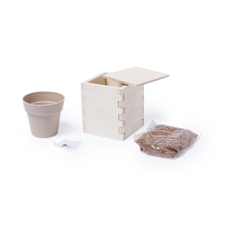 Pot en bois personnalisable avec graines de menthe Merin Pot en bois personnalisable avec graines de menthe Merin
