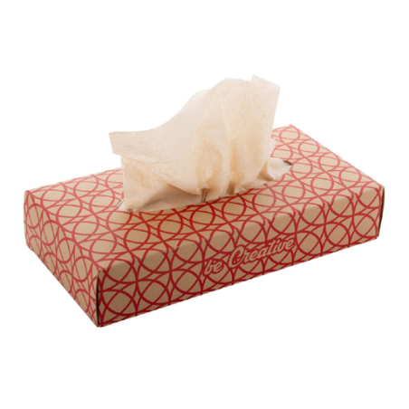 Boîte personnalisée en carton Kraft avec mouchoirs en papier recyclés- Hatschi Eco Boîte personnalisée en carton Kraft avec mouchoirs en papier recyclés- Hatschi Eco