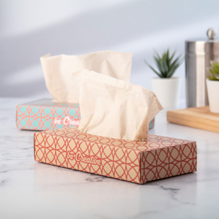 Boîte personnalisée en carton Kraft avec mouchoirs en papier recyclés- Hatschi Eco Boîte personnalisée en carton Kraft avec mouchoirs en papier recyclés- Hatschi Eco