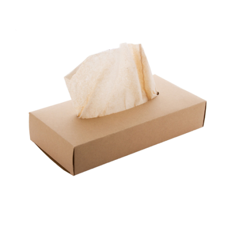Boîte personnalisée en carton Kraft avec mouchoirs en papier recyclés- Hatschi Eco Boîte personnalisée en carton Kraft avec mouchoirs en papier recyclés- Hatschi Eco