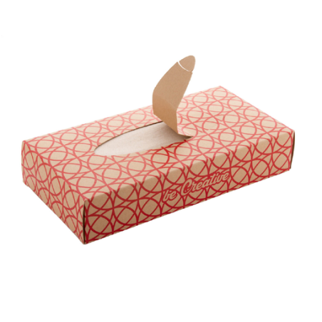 Boîte personnalisée en carton Kraft avec mouchoirs en papier recyclés- Hatschi Eco Boîte personnalisée en carton Kraft avec mouchoirs en papier recyclés- Hatschi Eco