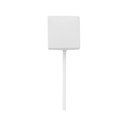 Sucette personnalisable multrifuit - Lolly Sucette personnalisable multrifuit - Lolly