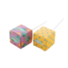 Sucette personnalisable multrifuit - Lolly Sucette personnalisable multrifuit - Lolly