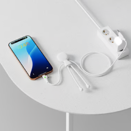 Câble de charge personnalisé Mr Bio long Fast 60W - Xoopar®