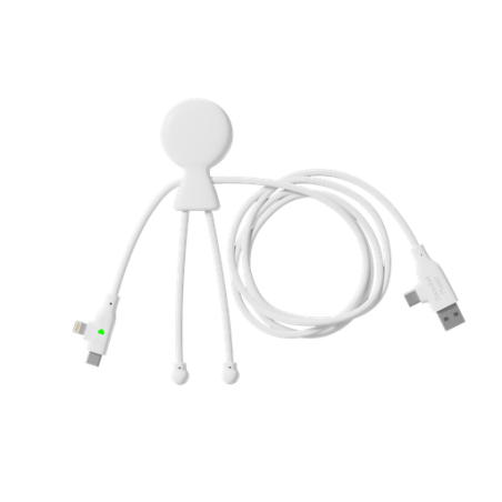 Câble de charge personnalisé Mr Bio long Fast 60W - Xoopar®