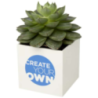 Pot publicitaire en aluminium avec plante grasse Hey Pots Pot publicitaire en aluminium avec plante grasse Hey Pots