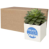 Pot personnalisé en aluminium avec cactus - Hey Pots Pot personnalisé en aluminium avec cactus - Hey Pots